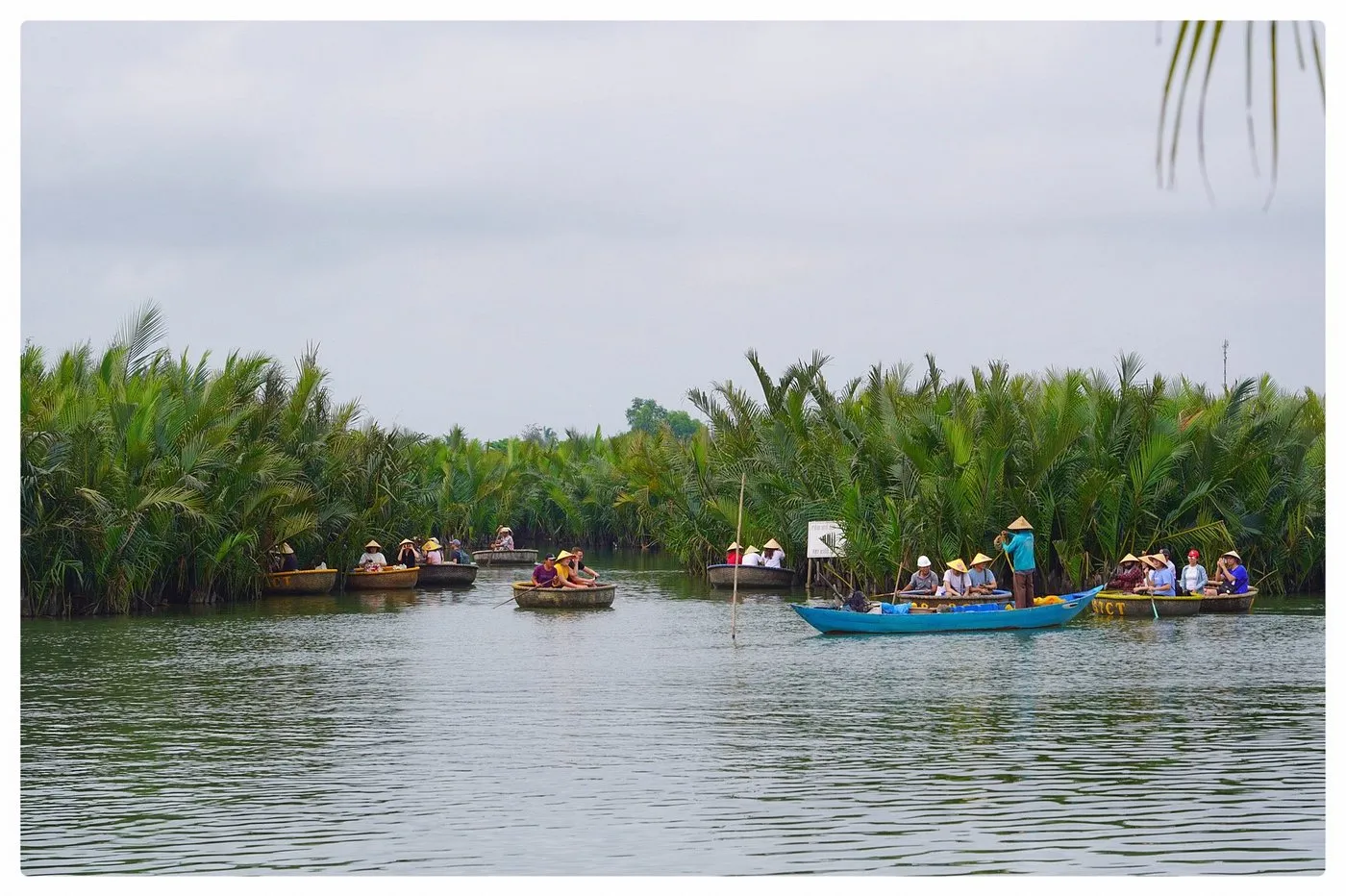 Smooth Rowing Through Emerald Palm Channels