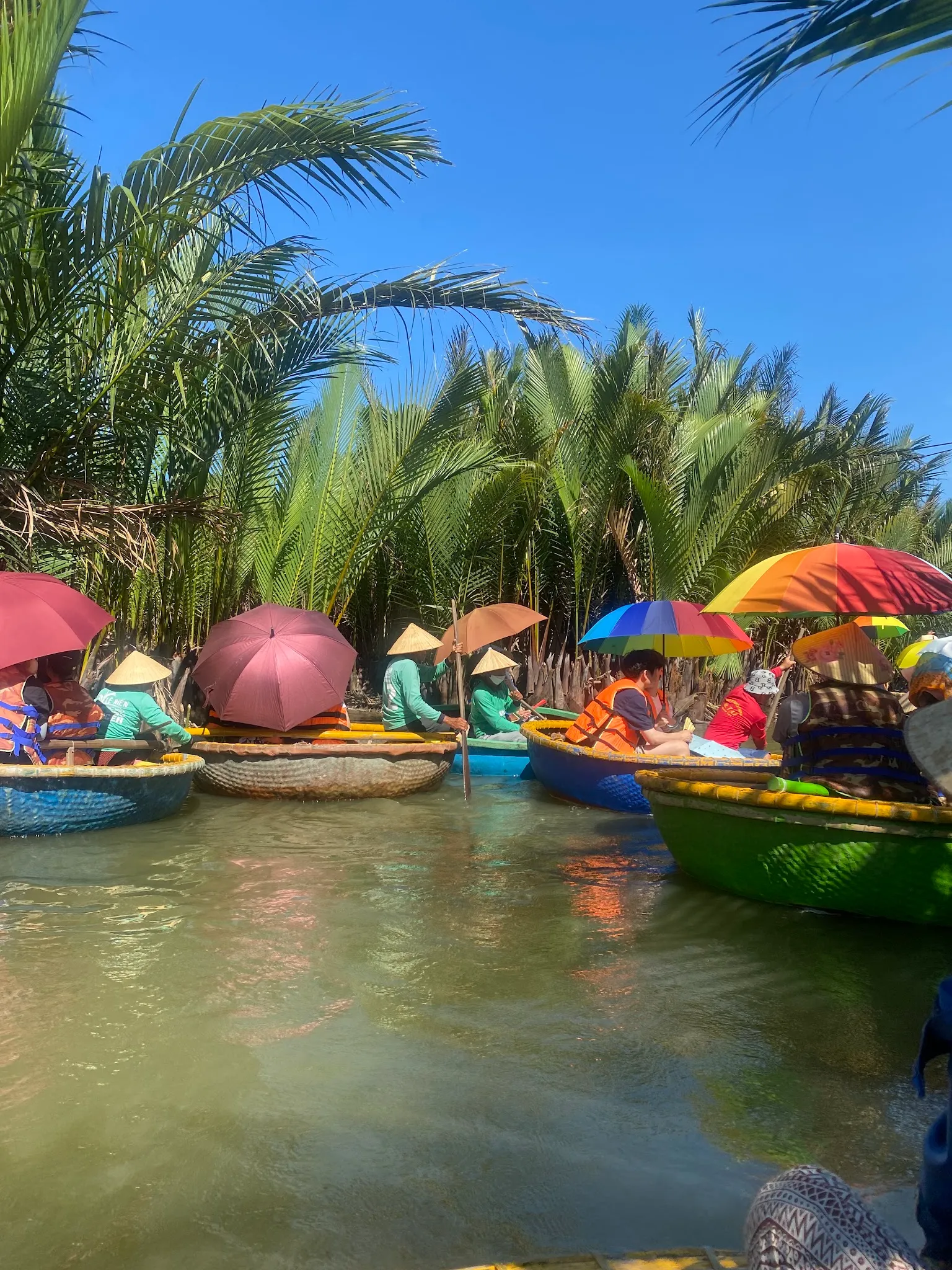 Cam Thanh Coconut Forest